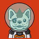 Space Bullis