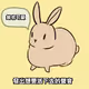 memeRabbit