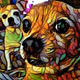 Fire Chihuahuas
