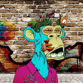 Street Ape Club