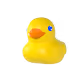 The Daily Duck