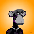 Bored Ape Universe