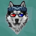 Husky Howler