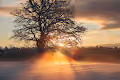 20 pic Nature
