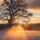 20 pic Nature