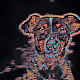Night Dog