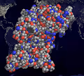 Folding simulated proteines