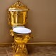 Golden Toilets Collection