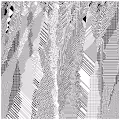 cellular automata 21