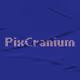 PixCranium