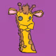 Imagitive Creatures