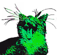 Psychedelic Stella