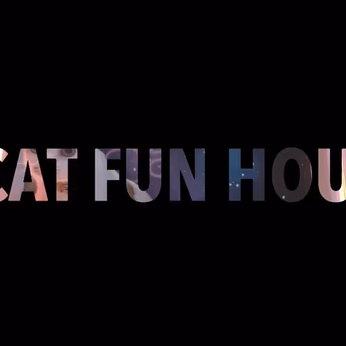 Cat Fun House