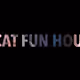 Cat Fun House