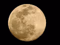 the-beauty of our world