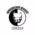 American Bully World