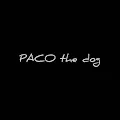 PACO THE DOG collection