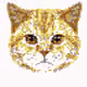 Pixel Poly Cats
