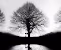 BoredApKloze