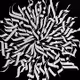 Black Graffity