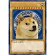 The World of Doge