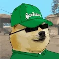 The World of Doge