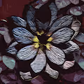 Lotus Creations