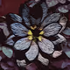 Lotus Creations