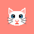 CryptoKittyPunk