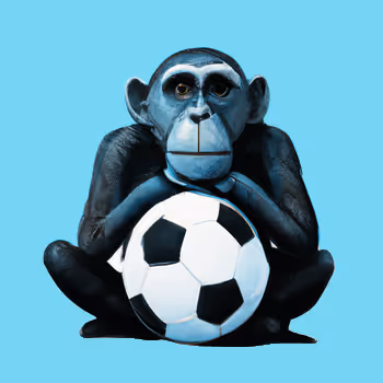 World Cup | Football | Bored Ape | NFTs