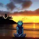 Medi Monkey V2