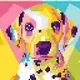 PETPIXEL 1