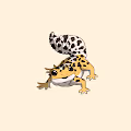 Chibi Leopard Gecko