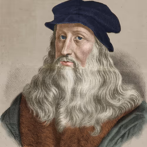 Vinci's theory