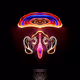 Cosmic-Creatures