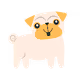 happycatdog