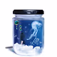 Bottled Girl-polygon-