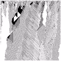cellular automata 66