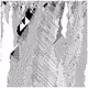 cellular automata 66