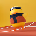 Duck-Lesson