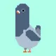 Crypto Pigeon-FJ