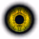 HumAni Eyes