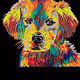dogstar