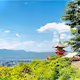 "Breathtaking Moment Series" in KYOTO, JAPAN capured by MOSS