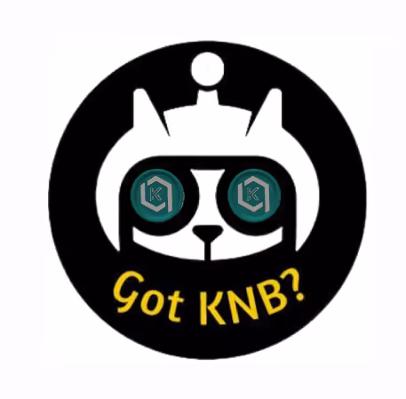 NFT Validator Contest
