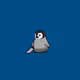 Edge Penguin Wide