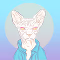 Sphinx The Cat