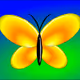 LurkMN's Butterfly Collection