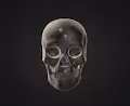 crypto_skull