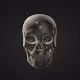 crypto_skull
